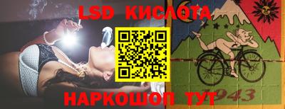 крисы Краснодар