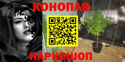 крисы Краснодар