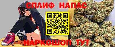 крисы Краснодар